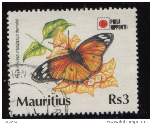 Maurice Butterfly R3 - Maurice (1968-...)