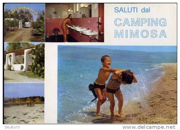 Saluti Dal Camping - Momosa - Nicotera Mariana - Catanzaro - Non Viaggiata - Catanzaro