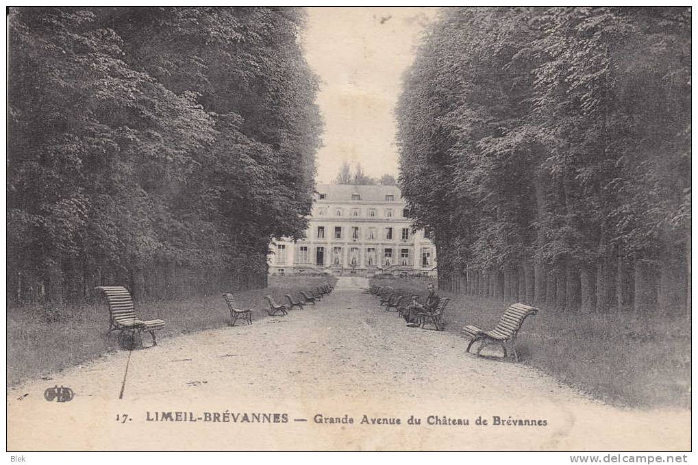 91.  Val De Marne .  Limeil Brevannes : Grande Avenue Du  Chateau De Brevannes . - Limeil Brevannes