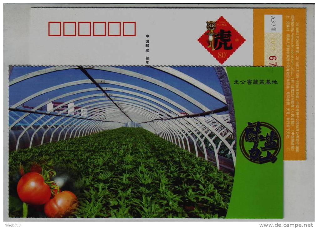Non-pollution Vegetable Base,plastic Greenhouse,China 2010 Yanshan Industry Advertising Postal Stationery Card - Légumes