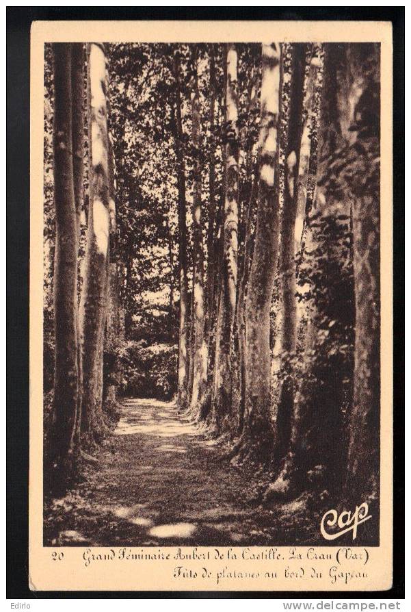 -30- Grand Seminaire Aubert De La Castille CRAU Futs De Platanes .. Timbrée 1962 TTB - La Crau