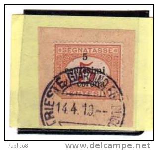 TRENTO E TRIESTE 1919 SEGNATASSE POSTAGE DUE TASSE TAXES CENT. 5 C SU 5C USATO SU FRAMMENTO USED ON PAPER OBLITERE - Trentin & Trieste