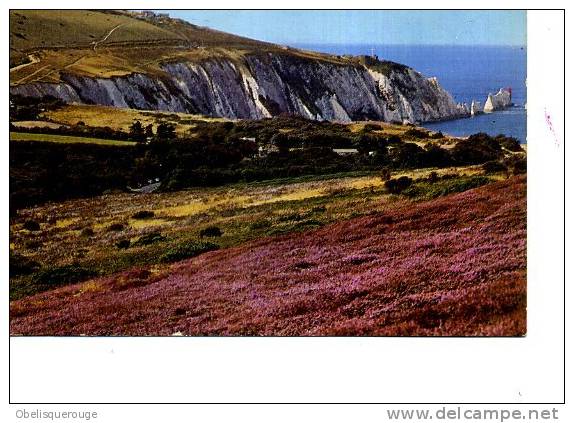 FALAISES DU SUR NEEDLES  A IDENTIFIER ED NIGHT - Other & Unclassified