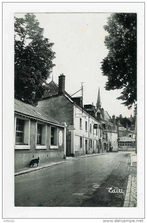 SAINT AVERTIN - Rue De Larçay Et L'Hôtel Du Faisan - Saint-Avertin