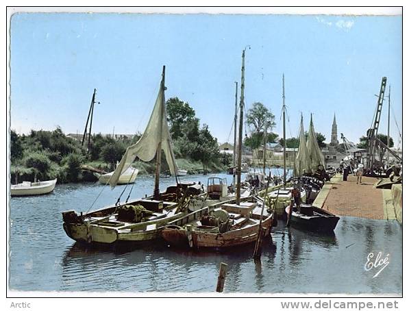 La TREMBLADE Contre Jour Sur Le Port Au Fond L'eglise - La Tremblade