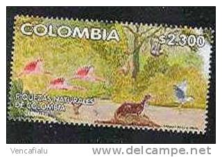 Columbia  - Flamingo,birds, 1 Stamp, MNH - Fenicotteri