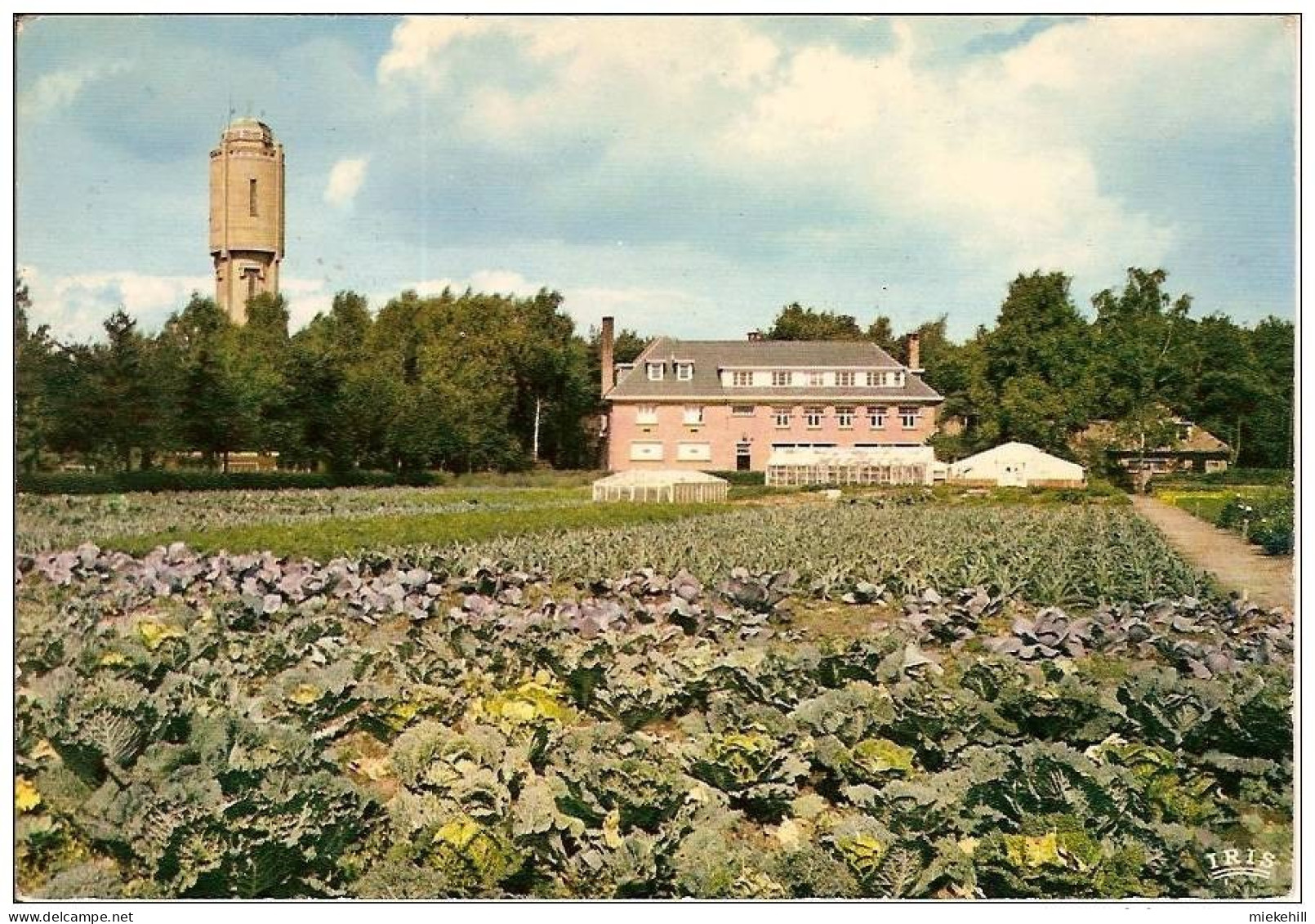 SINT JOB IN 'T GOOR-KRISTUS KONING INSTITUUT-CHATEAU D'EAU-WATERKASTEEL - Brecht