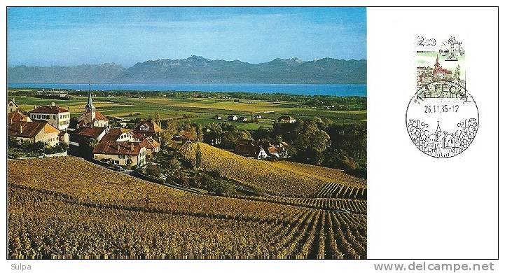 Féchy, Village Vigneron, Vignoble - Carte De Voeux PTT Double Avec Timbre - Vinos Y Alcoholes