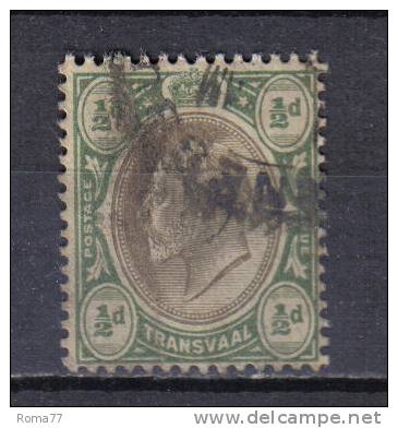 SS1082 - TRANSVAAL 1904 , 1/2 Penny  N. 164 - Transvaal (1870-1909)