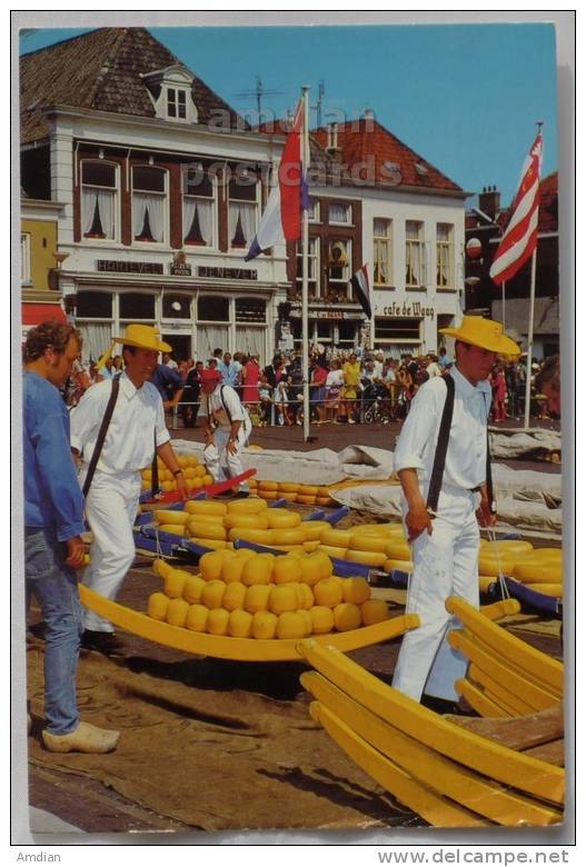 NETHERLANDS ALKMAAR TRADITIONAL CHEESE MARKET 1990s Postcard - Alkmaar