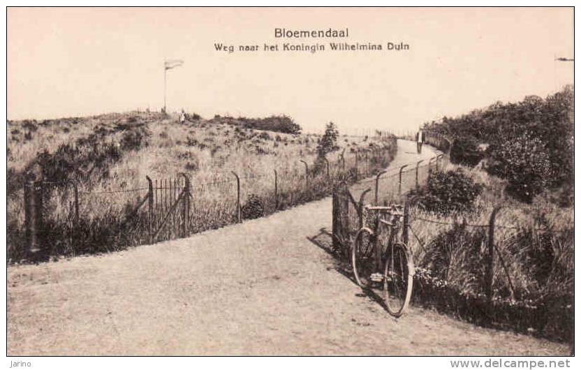 CPA Nederland-Noord Holland, Bloemendaal 1920, Weg Near Het Koningin Wilhelmina Duin,old Bike, Gebruikt Nee - Bloemendaal