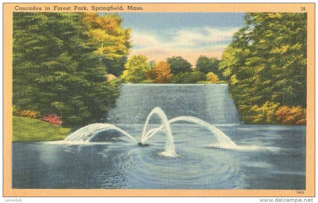 USA – United States – Cascades In Forest Park, Springfield Mass Unused Linen Postcard [P4110] - Springfield