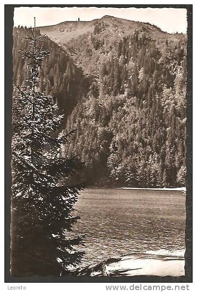 Feldberg Feldsee Und Seebuck 1954 - Feldberg