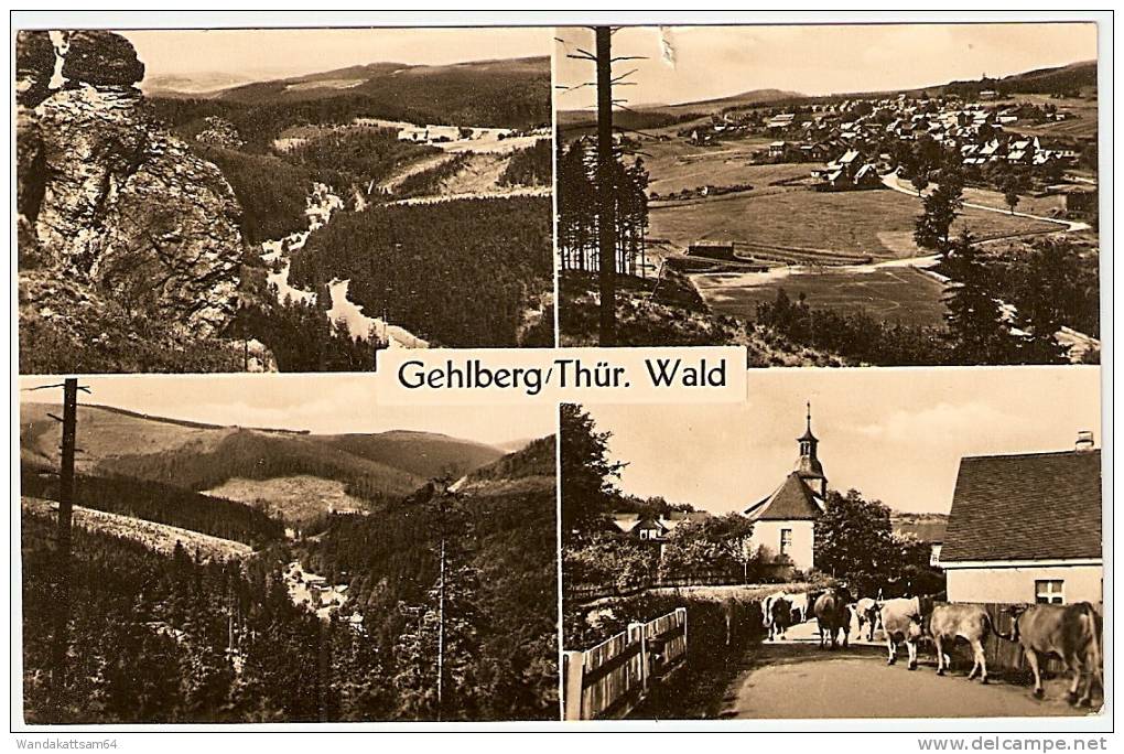 AK Gehlberg/Thür. Wald MBK 4 Bilder  -1. 7. 63.-16 GEHLBERG (THÜRINGERW) Nach Gramzow Kreis Prenzlau Mit 1 X 10 PF DEUTS - Heldrungen