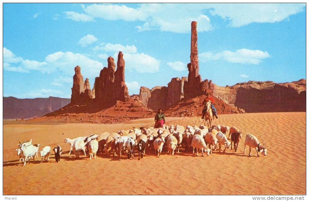 16992   Stati  Uniti,    Utah,   Monument  Valley,   Navajo  Women  Taking Their  Sheep  To  Water,  NV - Monument Valley