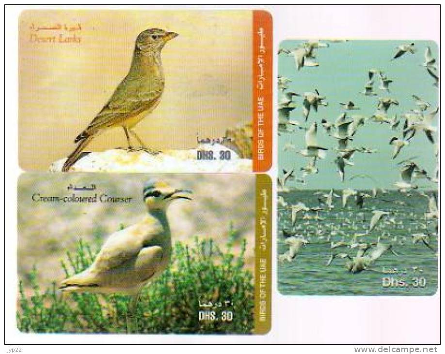 Lot De 3 Télécarte UAE Emirats Arabes Unis - Oiseau Bird - United Arab Emirates