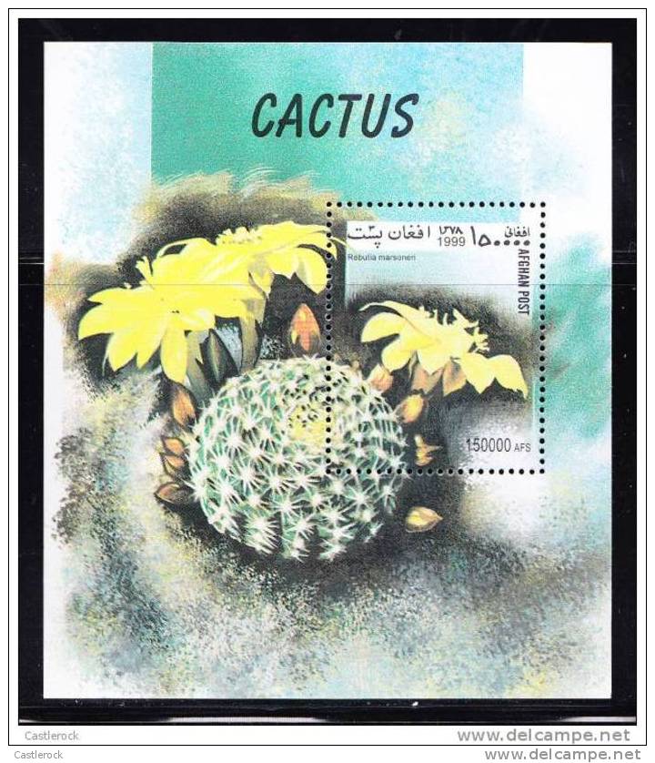 T)1999,AFGHANISTAN,S/SHEEET,CACTI,MNH.- - Cactus