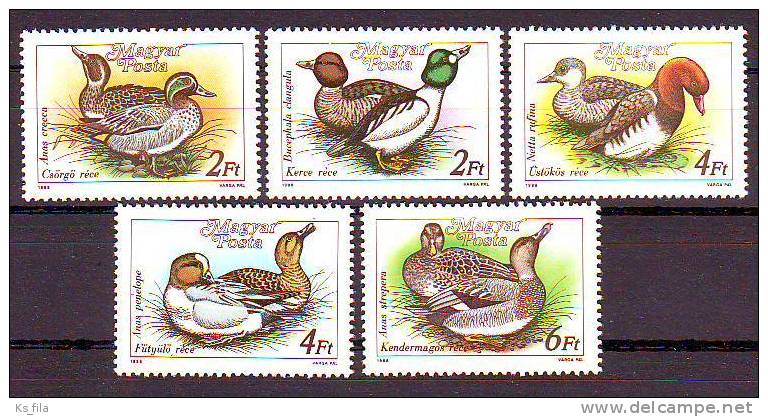 HUNGARY - 1988. Wild Ducks - MNH - Neufs