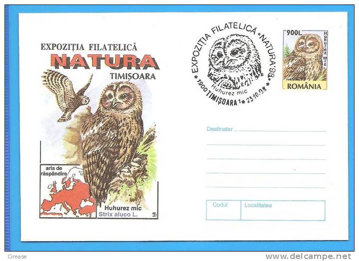 Birds, Bird, Owls, Owl, Strix Aluco. ROMANIA Postal Stationery Cover 1998 - Owls