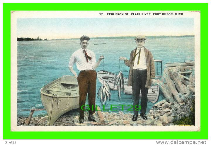 PORT HURON, MI - FISH FROM ST. CLAIR RIVER ANIMATED IN CLOSE UP - HARRY H. HAMM - - Autres & Non Classés