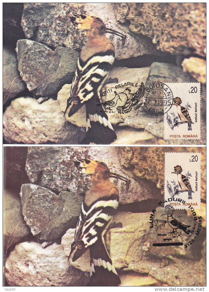 Maximum Card,CM,2X ,1994-95,"UPUPA EPOPS", Bird Grimpeur, Nice, ROMANIA. - Spechten En Klimvogels