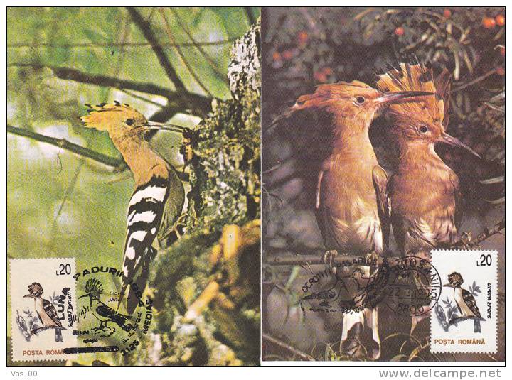 UPUPA EPOPS" ,bird Grimpeur,CM,maxicard,cartes Maximum 2X ,1994-95,nice, ROMANIA. - Climbing Birds