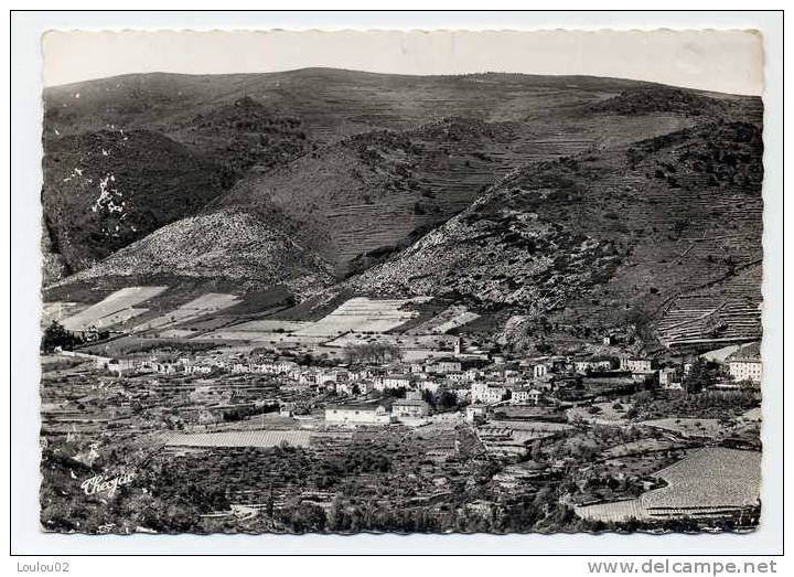 66 -  SOURNIA - Vue Generale - Bord Dentele - Sournia