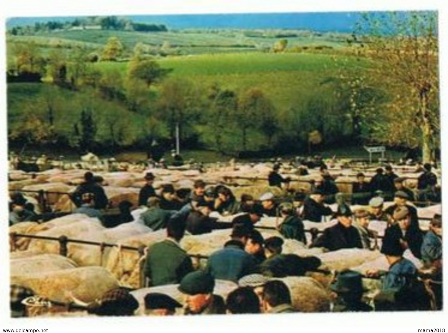 Sàone  Et Loire     St  Christophe_en _briançonnais     Foire Aux  Bestiaux - Fiere