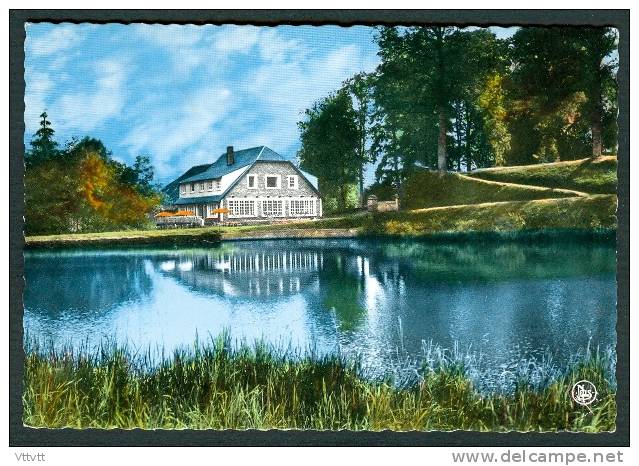 BELGIQUE (LUXEMBOURG) - HABAY-LA-NEUVE : L´Hôtel Du Pont D´Oye Et L´Etang, Edit. Neils (circulée, 1967) - Habay