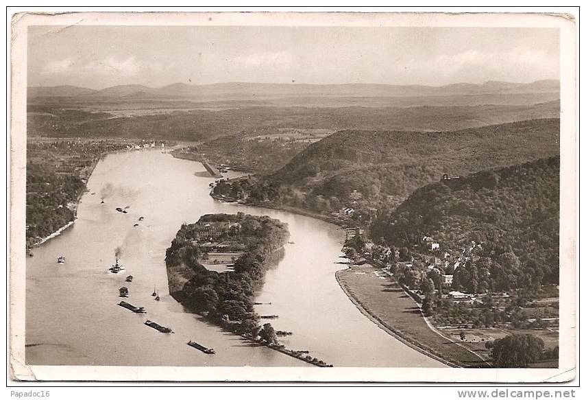 D - RP - Blick Vom Drachenfels Auf Die Nonnenwerth Und Den Rolandsbogen [Remagen] - Photo : Hartz - Remagen