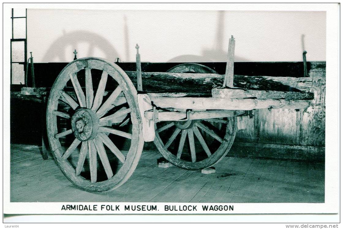 (840) Very Old Australia Postcard - NSW Armidale And Bullock Waggon - Tamworth