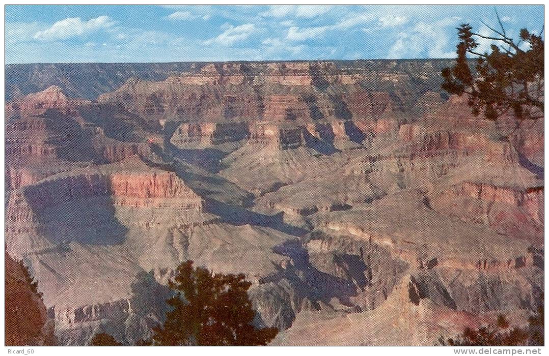 Carte Postale, Arizona, Grand Canyon National Park, Near Pima Point - Grand Canyon