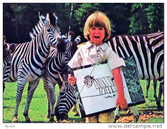 Zebres Decontractes, Concours Dessinez Un Animal Exotique En Liberte, Enfant, Dessin, Centre DeThoiry, Sigean, Peaugres - Zèbres