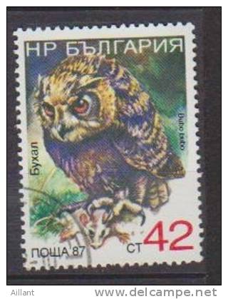 Bulgarie. Bulgaria.  Grand-duc. Bubo Bubo. CTO - Hiboux & Chouettes