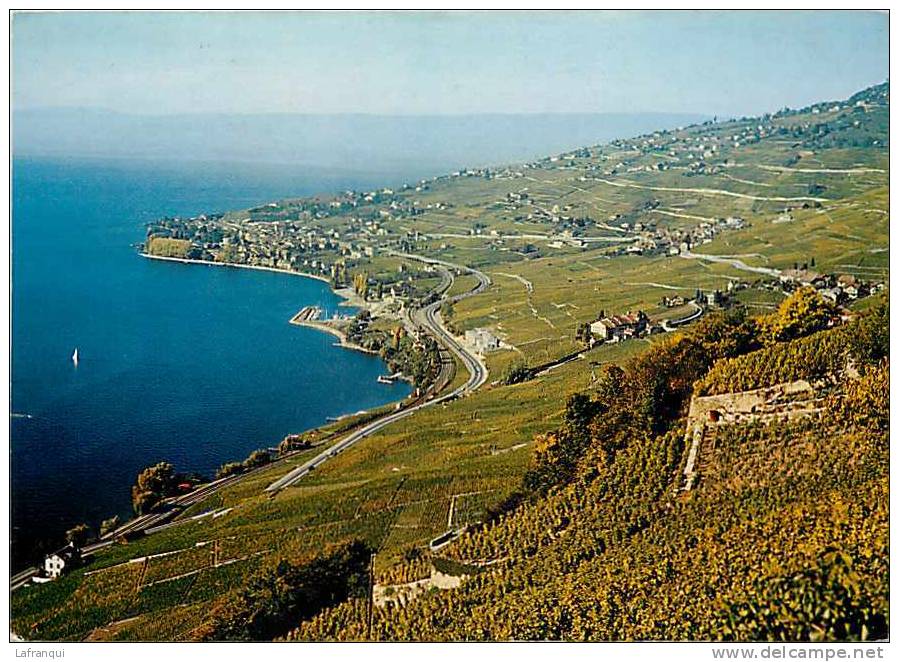 Suisse -carte Postale Grand Format - Ref 136-vignobles De Lavaux -lac Leman -cully, Grandvaux , Epesses , Riex - - Épesses