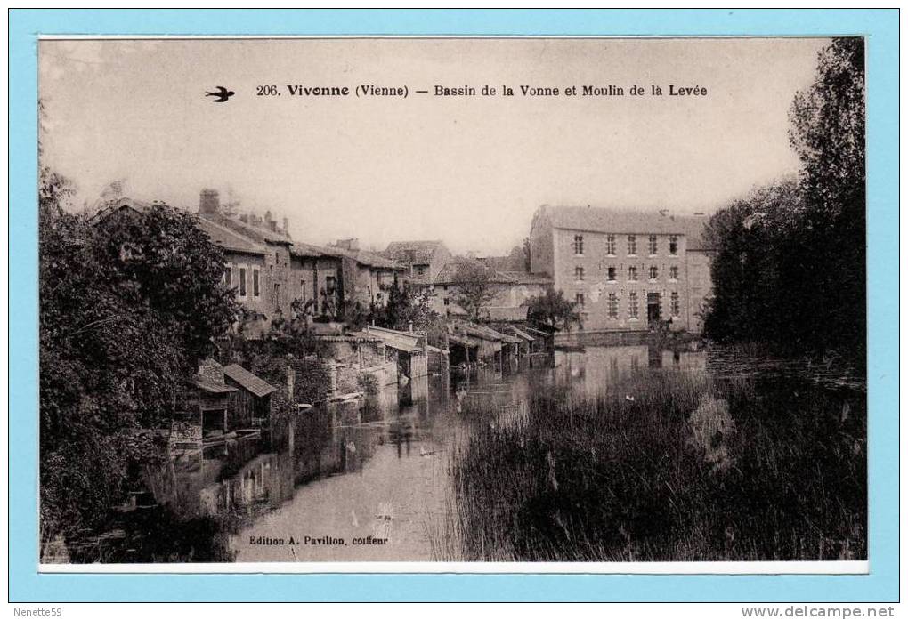 VIVONNE - Bassin De La Vonne Et Moulin De La Levée  N° 206 - Vivonne