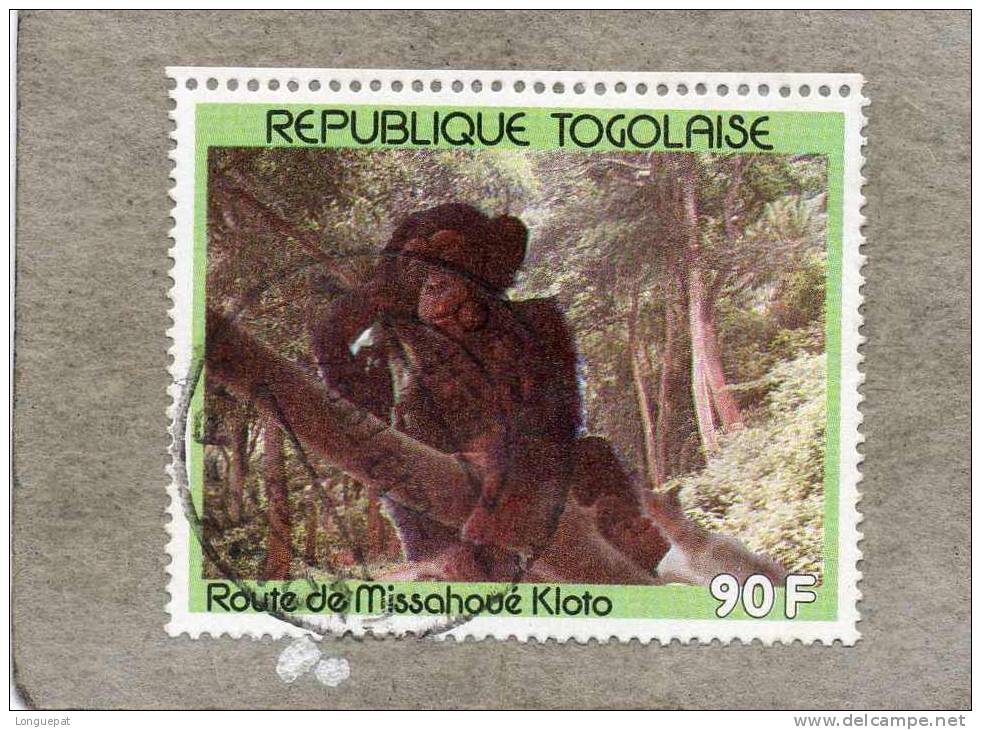 TOGO  :  Chimpanzé  (Pan Troglodytes)   :sur La Route De Missahoué Kloto - Singe - Primate - Schimpansen