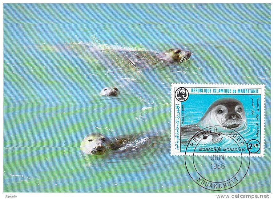 MAURITANIE   WWF CARTE MAXIMUM NUM.YVERT  575    PROTECTION DE LA NATURE    PHOQUE MOINE - Cartes-maximum