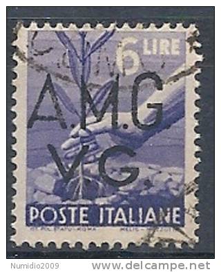 1945-47 TRIESTE AMG VG USATO DEMOCRATICA 6 £ - 9054-2 - Oblitérés