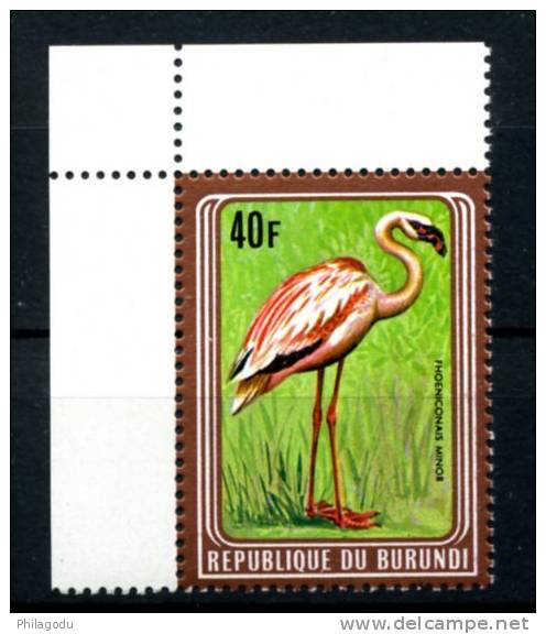Oiseau Cadre Brun   838.D**   Pink Flamingo Bird  Reprint With Other Frame Full Colored - Ungebraucht
