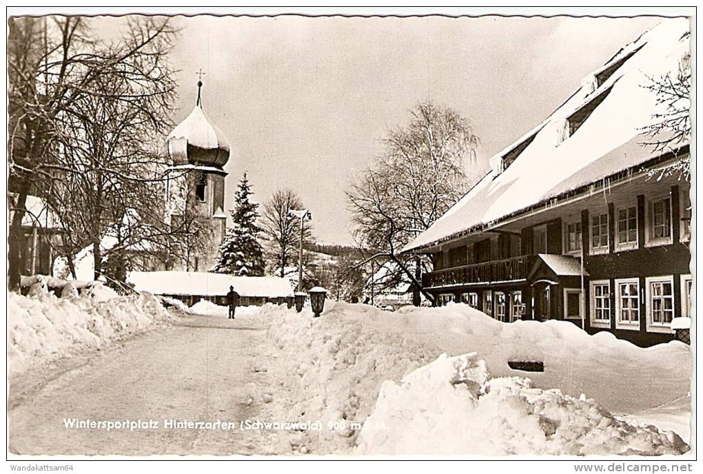 AK Wintersportplatz Hinterzarten (Schwarzwald) 900 M ü. M. -6. 3. 67 7824 HINTERZARTEN Staatlicher Heilklimatischer Jahr - Hinterzarten