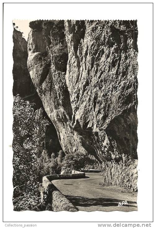 Cp, 48, En Parcourant Les Gorges Du Tarn, Le Cirque Des Baumes, L'Encorbeillement - Aumont Aubrac