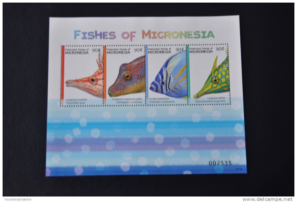 M ++ MICRONESIE 2011 FISHES VISSEN POISSON MNH ** - Micronesia