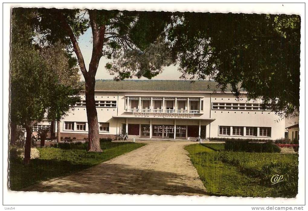 GUELMA L'école D'Agriculture (J. Magliulo, Arch. DPLG) (1956) - Guelma