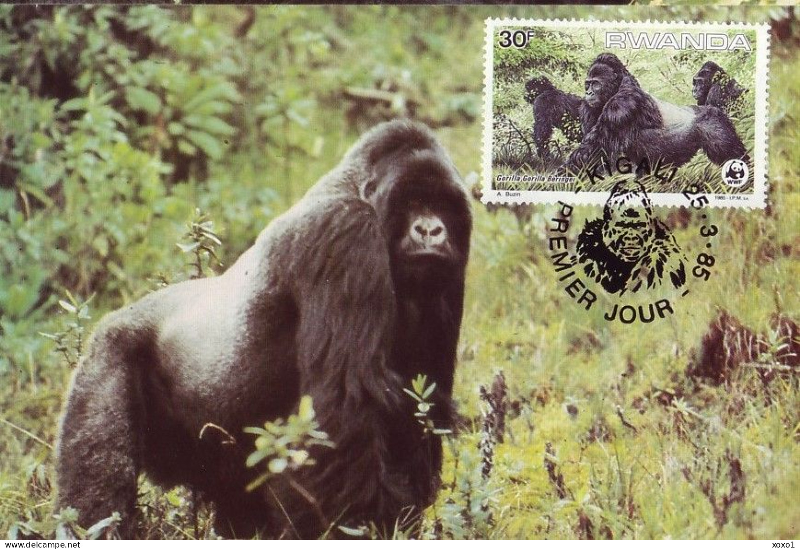 Rwanda 1985 MiNr. 1292 - 1296 Ruanda WWF Monkeys Eastern Gorilla(Gorilla Gorilla Beringei) 4 MC 24,00 € - Gorilles