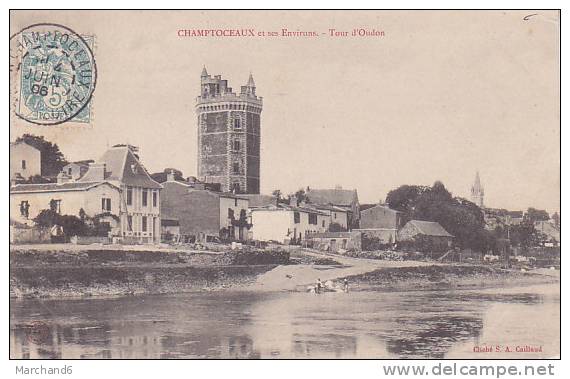 TOUR D OUDON CHAMPTOCEAUX ET SES ENVIRONS  Editeur A Caillaud - Oudon