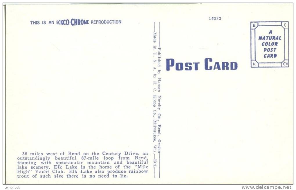 USA – United States – Elk Lake And Mt. Bachelor, In Scenic Oregon, 1920s Unused Postcard [P6178] - Altri & Non Classificati