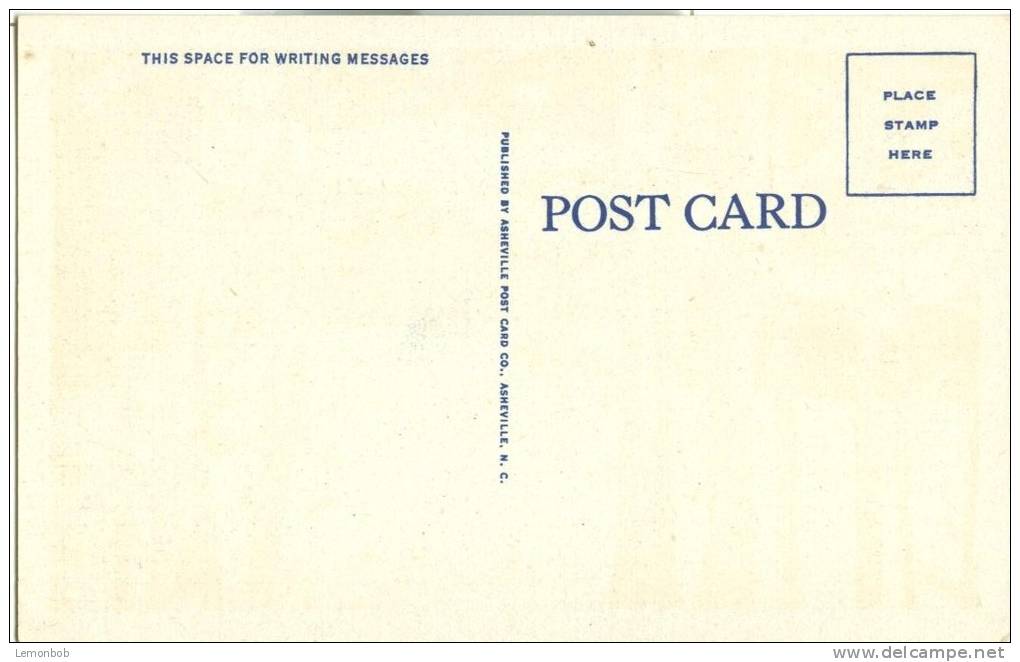 USA – United States – Big Ridge Park, A Great Place For Outdoor Sports On Morris Lake, Tennessee, Unused Postcard[6182] - Otros & Sin Clasificación