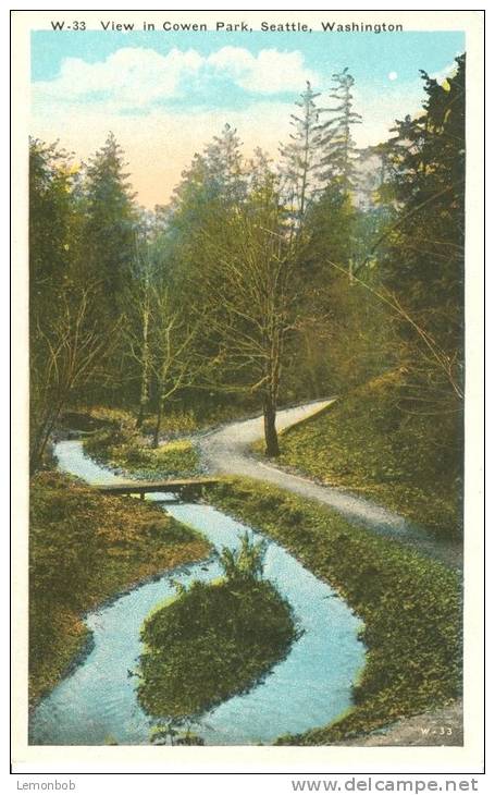 USA – United States – View In Cowen Park, Seattle, Washington, 1910s-1920s Unused Postcard [P6212] - Seattle