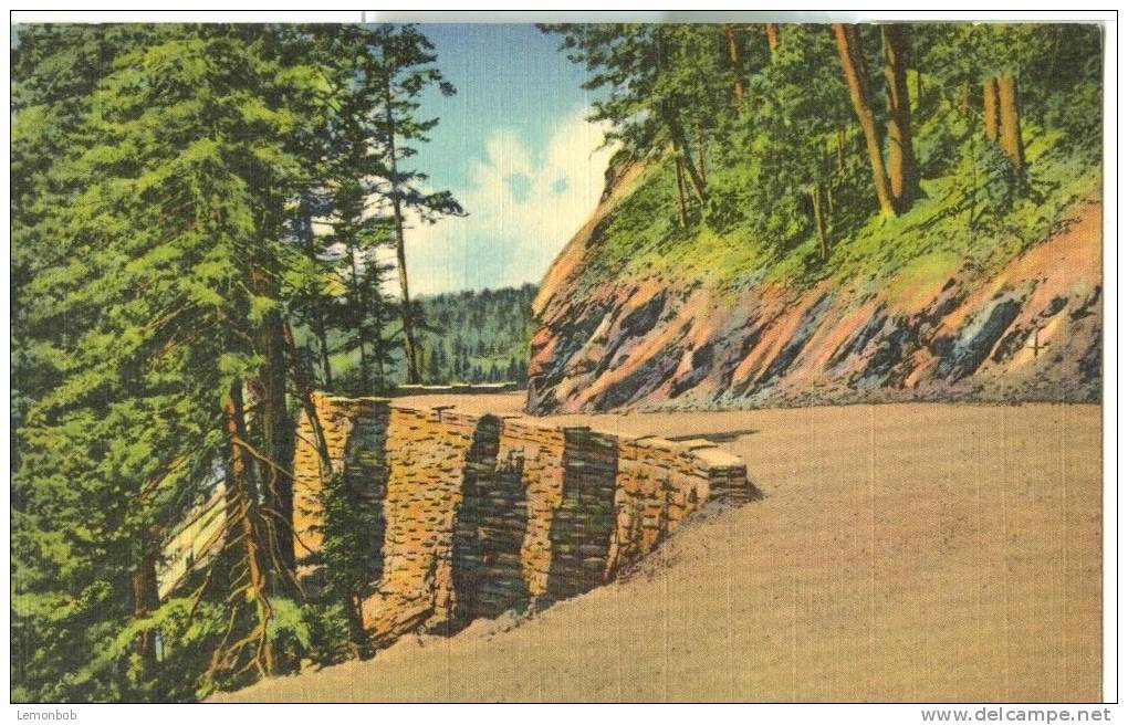 USA – United States – Curve On Sky-Line Drive In The Great Smoky Mountains National Park, Unused Linen Postcard [P6220] - USA National Parks